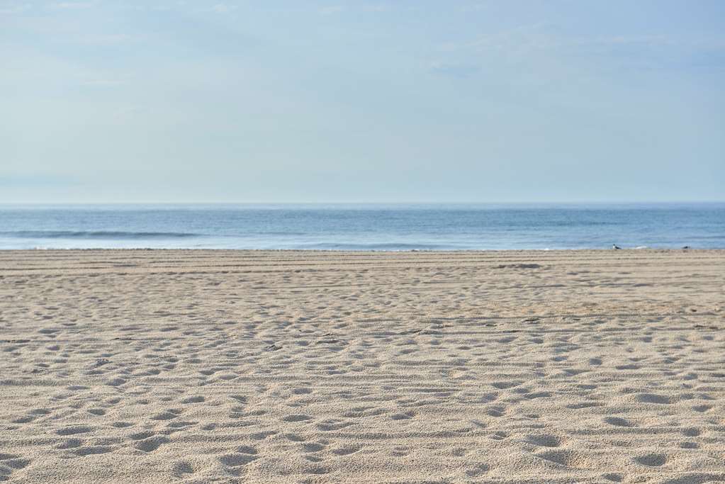 Drifting Sands Oceanfront Hotel Ship Bottom Exteriör bild