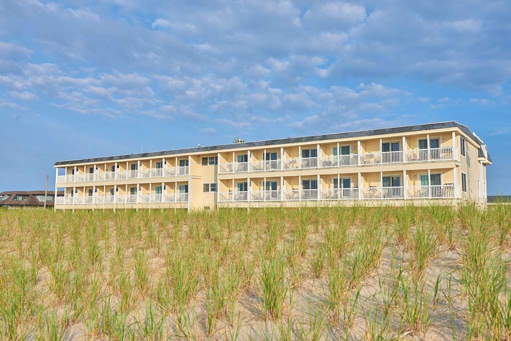 Drifting Sands Oceanfront Hotel Ship Bottom Exteriör bild